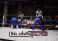 /album/fotogaleria16/lucha-libre-001-jpg/